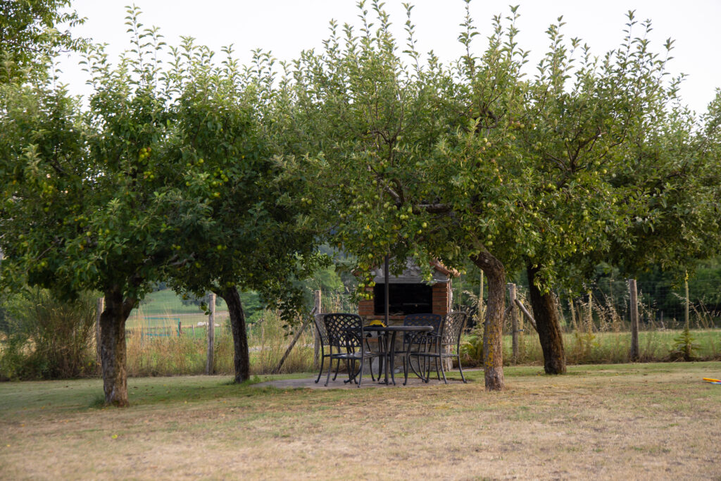 Tavolo e barbecue all’ombra degli alberi del giardino